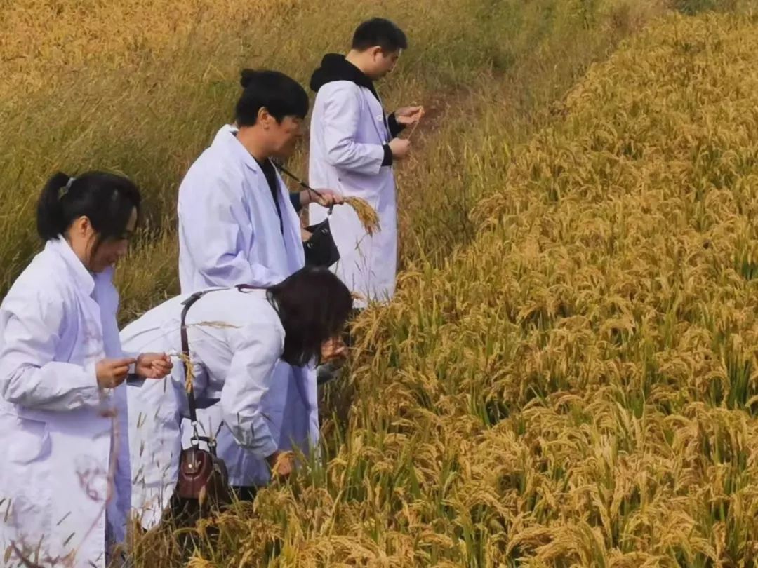 黄泥洼人口_黄泥洼镇消防员照片(2)