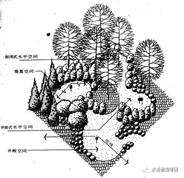 水杉学院植物设计第二课细说园林植物景观空间的构成属性及形态属性