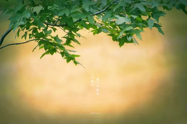 bf80742d48e34f2eacd62d014a81cb8b.jpeg