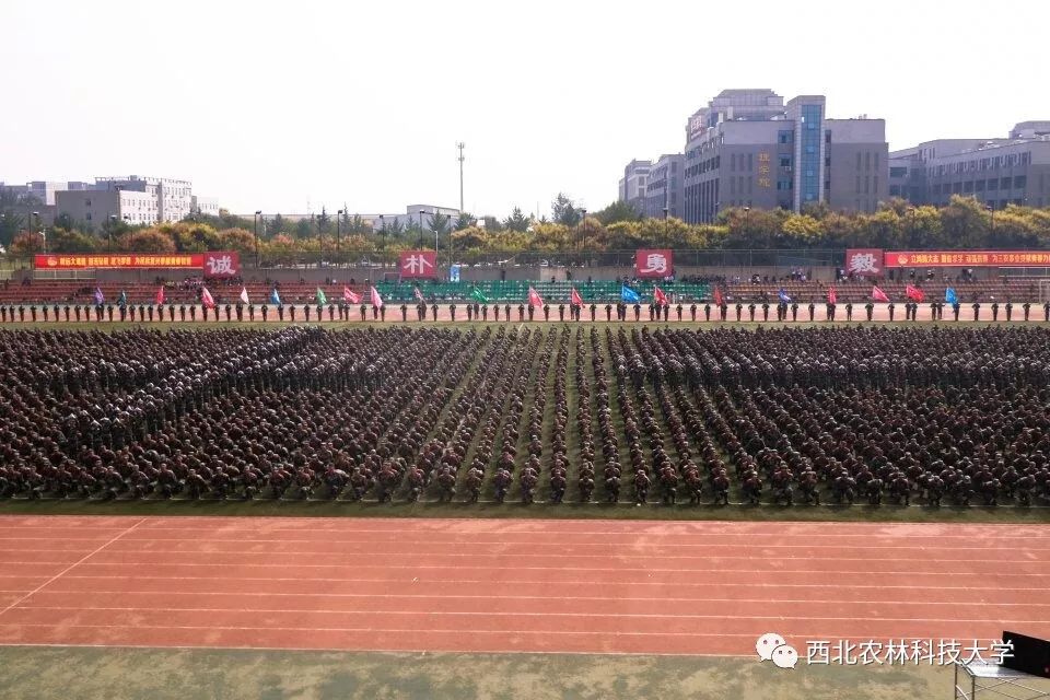 c49ff825863d46aa8070d23345314913.jpeg