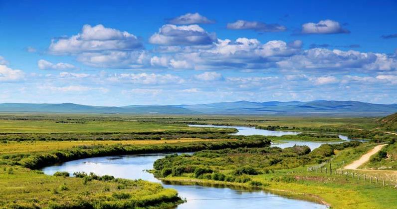 张冬玲最好听的歌曲《喝着烈酒唱情歌》美醉了