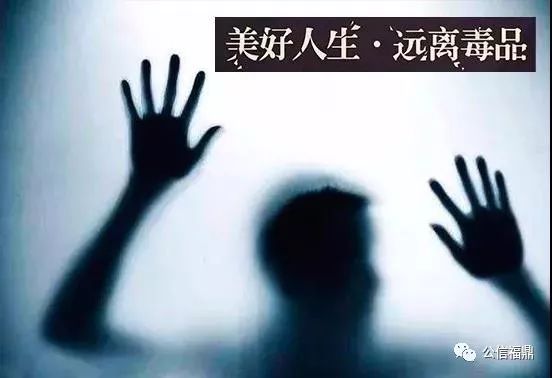 福鼎人口趋势_福鼎肉片图片