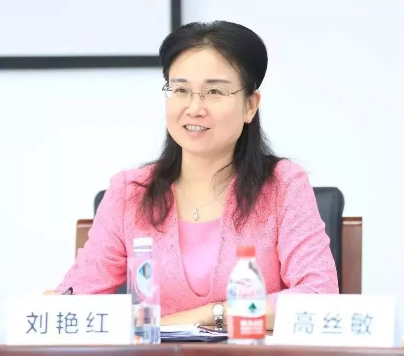 清华大学法学院院长申卫星教授,东南大学法学院院长刘艳红教授,华中