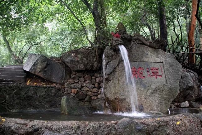 雨露乡人口_人口普查(2)