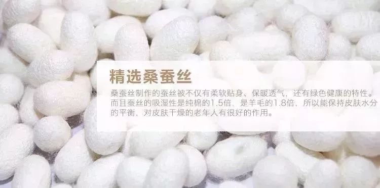 蚕丝拼音 来自搜狐网