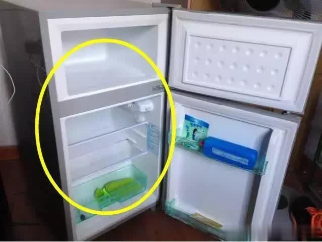 dbb691cb1b06406bb06259a8ecd1c74c.jpeg