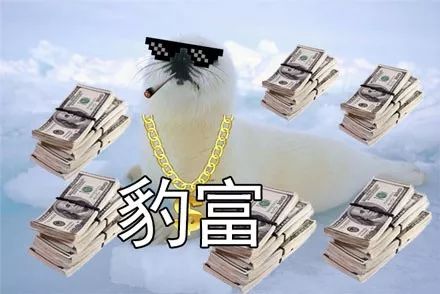 dbcc59c3ad2545e2b4d39f12bf7d6576.jpeg