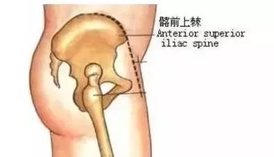 髂后上棘的体表位置 髂后上棘的体表位置画法