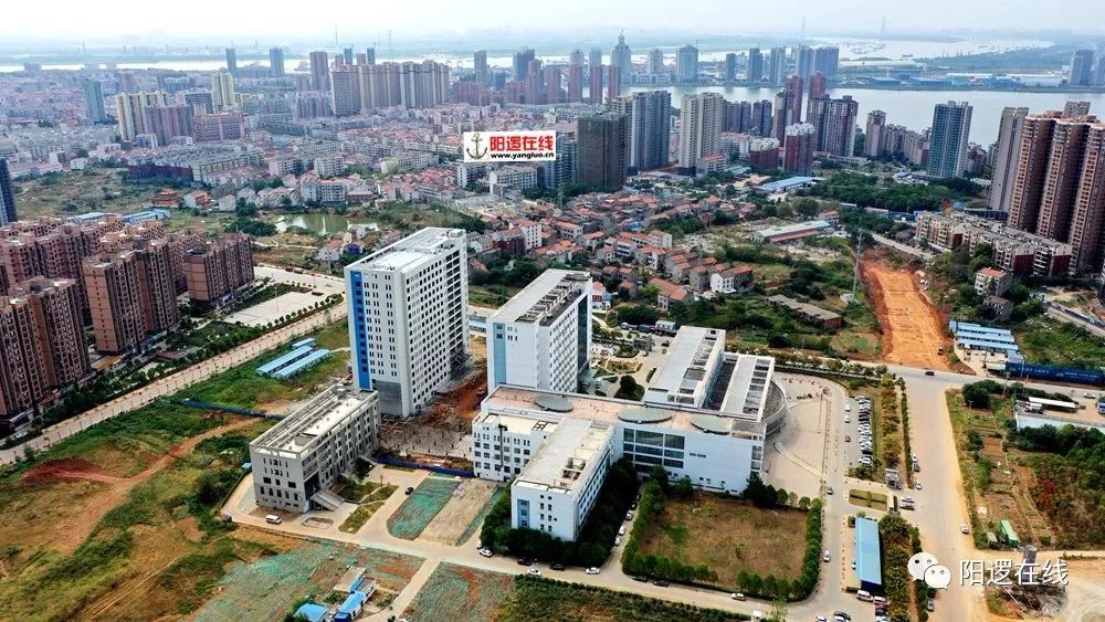 阳逻占新洲多少gdp_号称武汉第4镇的长江新城,能成为黄冈发展的发动机吗