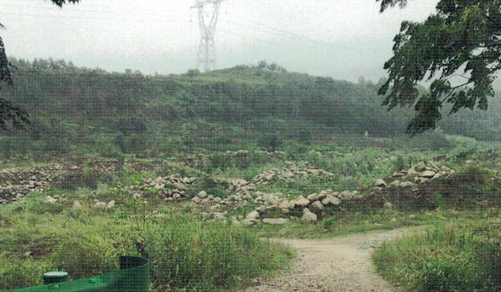 陕西蓝田普化村张峰:秋风扫落叶 除尘必务尽
