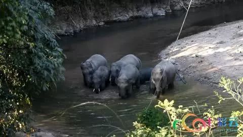 西双版纳人口土地面积_西双版纳风景图片