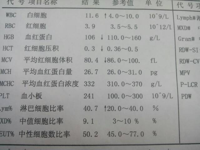 3分钟教您看懂血常规化验单到底血常规是查什么的