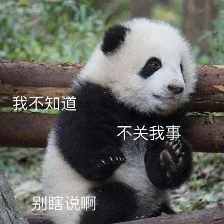 斗图表情包合集偷心盗贼不请自来