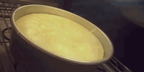 f552e55d9e7c4b5b845aa29264c1bcd8.gif