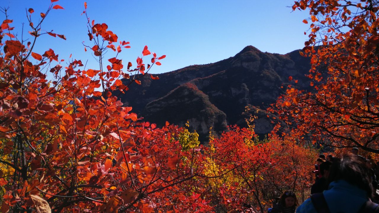 北京房山坡峰岭风景区