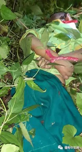 原创缅甸4岁男童双手被反绑脖子被勒住遭人弃尸草丛