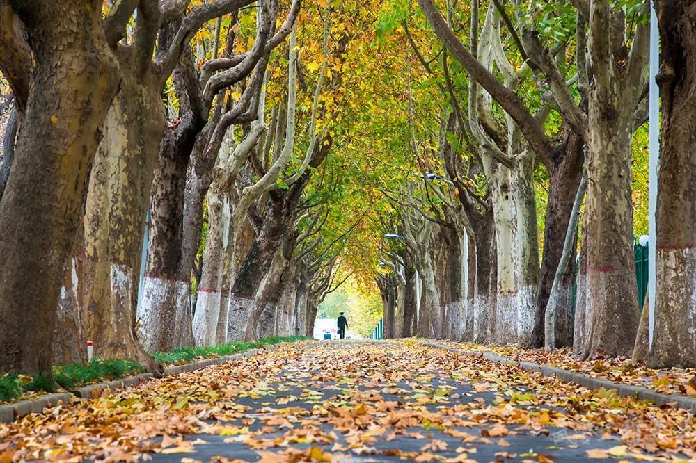 @火箭军工程大学,祝你生日快乐!