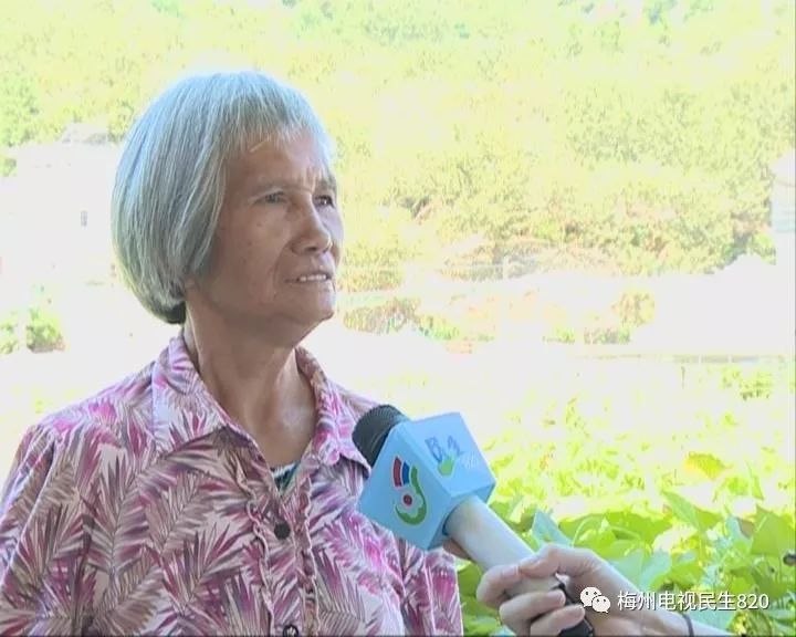 浑身是刺猜成语_浑身是刺的人图片(2)