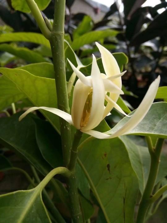05dc2f9618ba47699a297644d477c2b1.jpeg