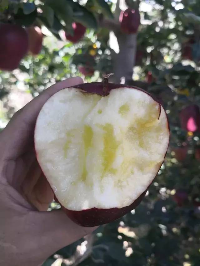 08410965ea9f4de4802809e78d5e6954.jpeg