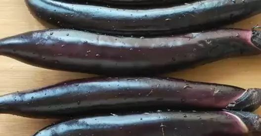 怎样腌制茄子好吃不发黑 085b83f5bc244f0fbf25d45743b3e7ea.jpeg