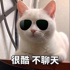 08e2d87e1d834b3ba27e006193f6e23d.jpeg