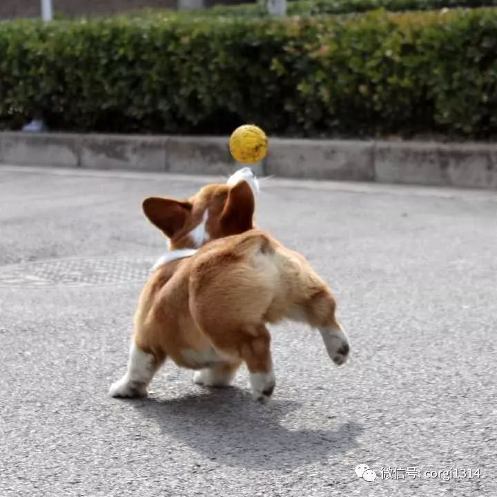 0d792a2dfd524e608f4d0674db7158a3.jpeg