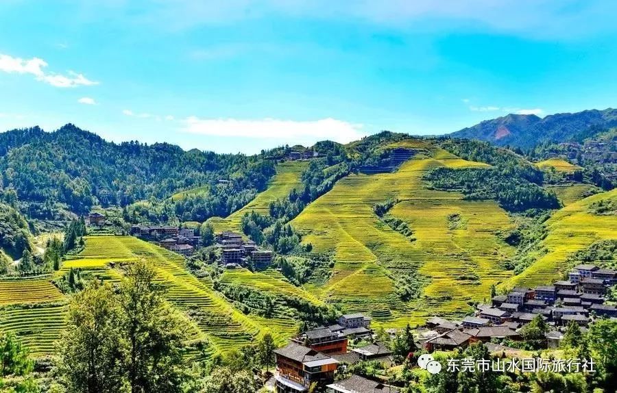 桂林龙脊古壮寨梯田,平安寨梯田 高山篝火晚会,泛舟漓江风光,义江缘