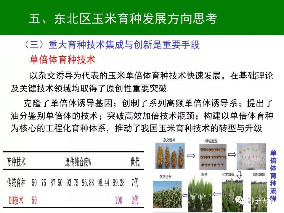 东北地区人口生育现状_东北地区人口分布图(2)