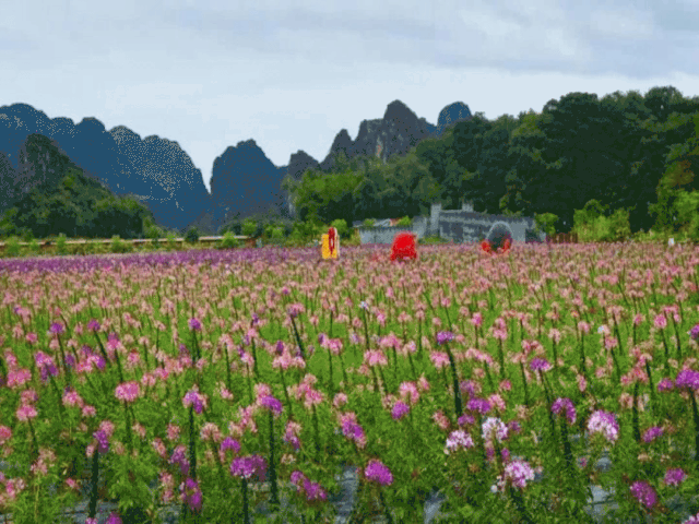 碧乡文旅风景如画生活如诗只待你来