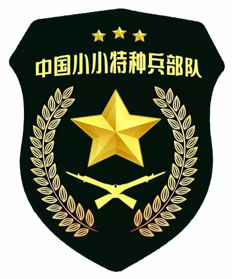 国庆我是小小特种兵之猎鹰突击队训练营