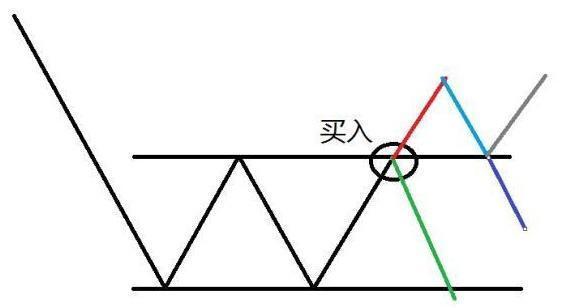 一只鸡的成本与利润 1e86549279c943f291f204db8b24de01.jpeg