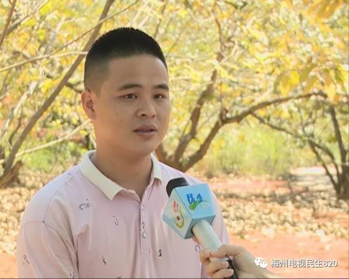 浑身是刺猜成语_浑身是刺的人图片(2)