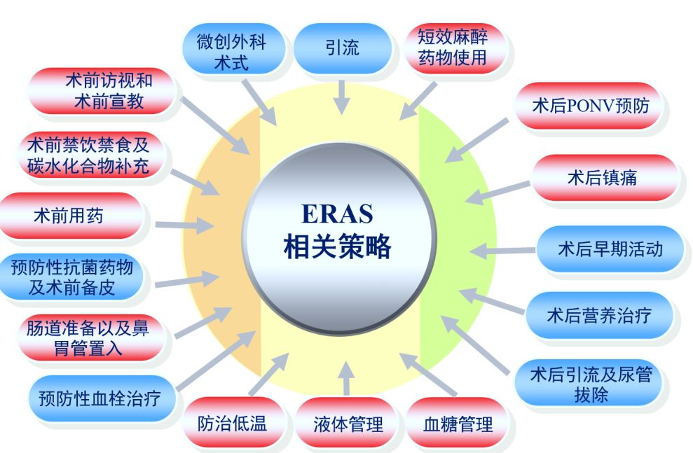 米卫东教授围术期麻醉管理与手术预后