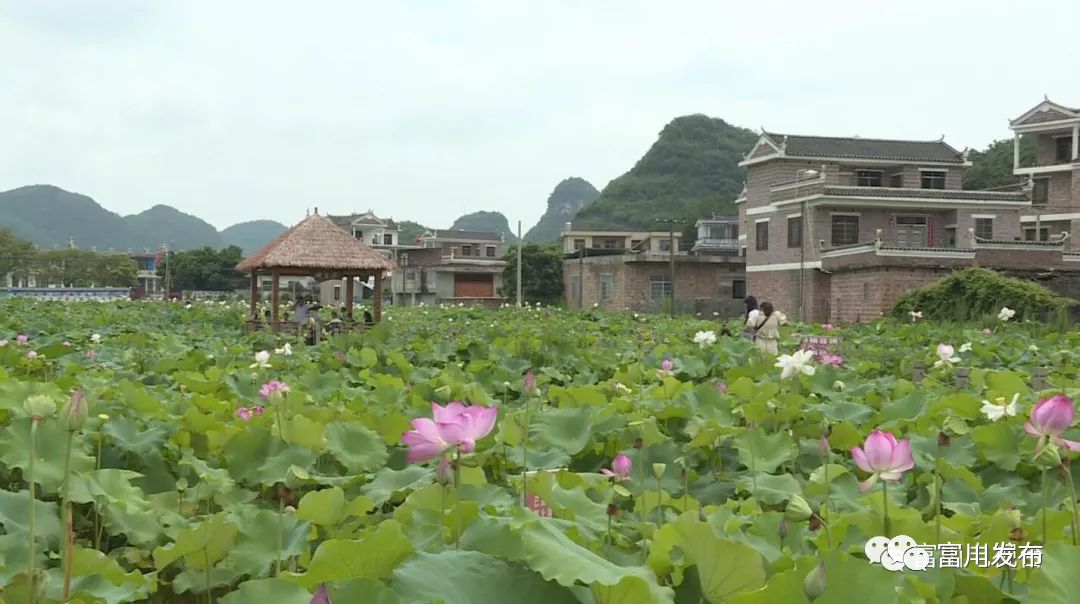 富川福利人口_富川福利红岩孔德忠