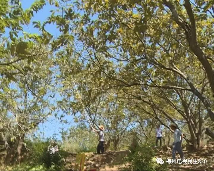 浑身是刺猜成语_浑身是刺的人图片(3)