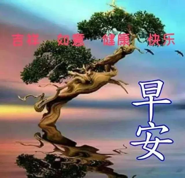 如何让人生充满宁静 2b309c39a09b49d1ab15e4d7b10153ca.jpeg
