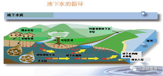 【专家视角】丁爱中:地下水污染调查与修复评估