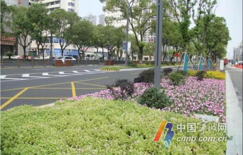 通车不久的宁波城市南北主干道——中兴路,又有了新的景观变化.