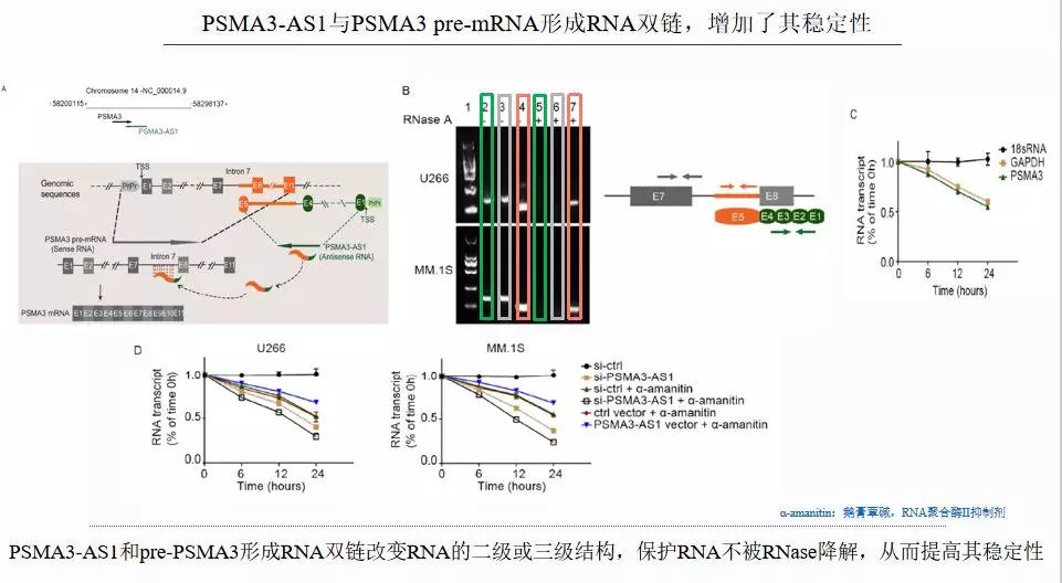 大神总结丨外泌体中lncrna研究思路解析