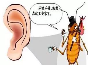 「深圳查查吧」噩梦成真！深圳一孩子熟睡中蟑螂钻进耳道中啃食