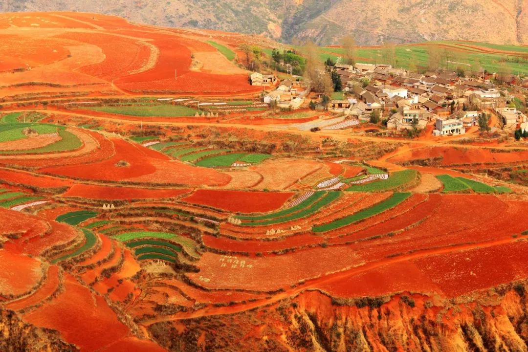 东川红土地曲谱_东川红土地(3)