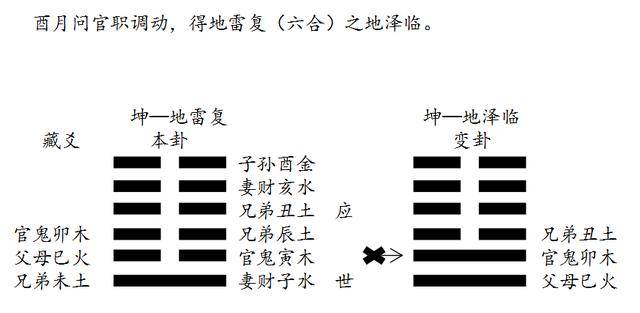 老刘说易 周易六爻预测中 场 的技法应用,卦例解读
