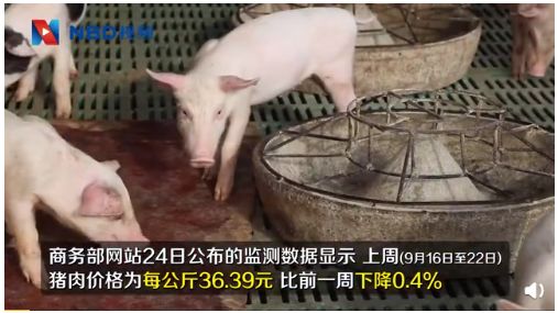 30000吨猪肉都来了,v猪肉有多大?猪肉冷藏库照片图片