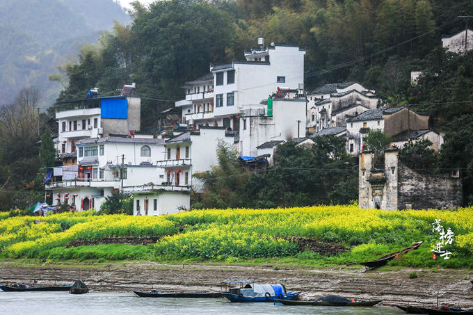 歙县有多少人口_作为一个黄山人 黄山有多少人口你知道吗(2)