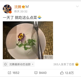 沈腾吃菜叶回应热搜网友：苦不苦，看看54岁郭富城