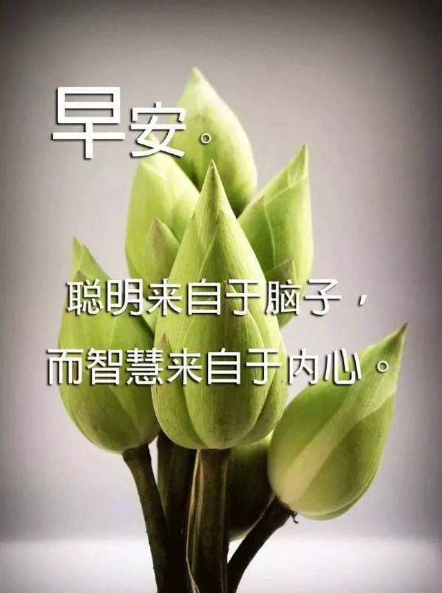 最美的早安祝福句子,暖心的早上好动态表情图片