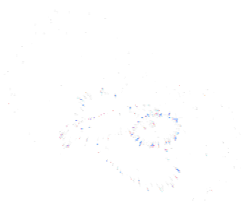 350_295