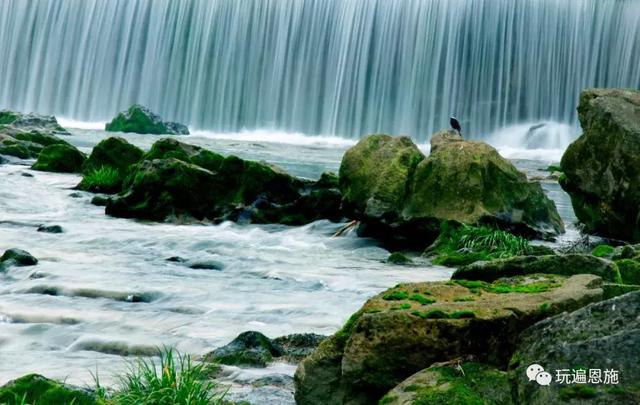 郁江后江追前江，美丽的后江河