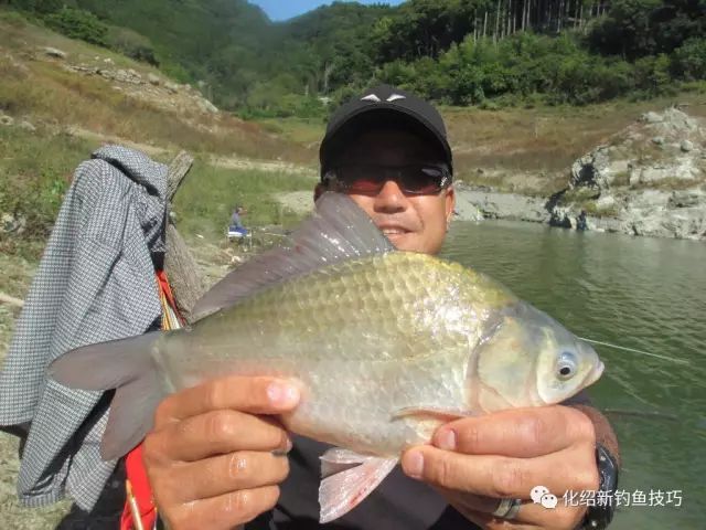 60db2dd06d214cddb5110b6570eb5478.jpeg